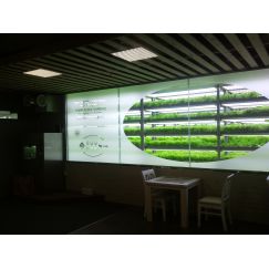 Plant Factory for L co., image 